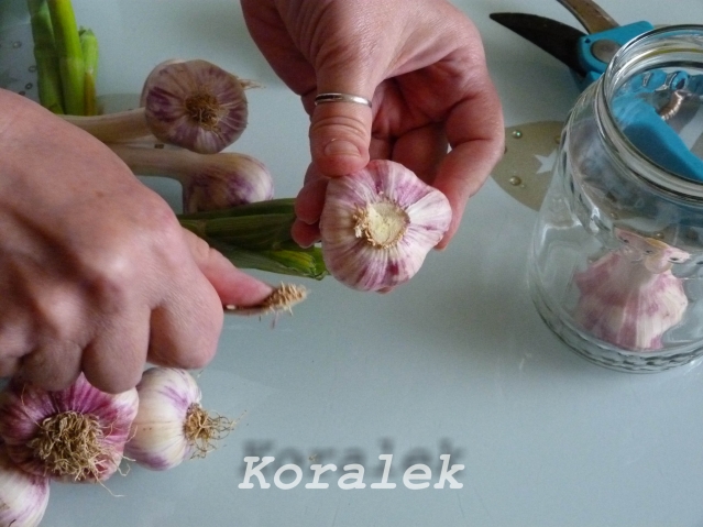 Срезала попки... :))) Срезала попки... :)))
