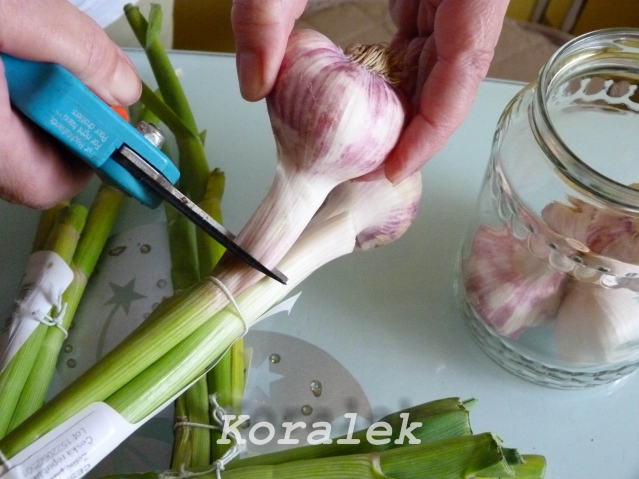 Итак, приступим. Рецепт №1 Итак, приступим. Рецепт №1
