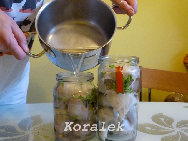 Все это заливаем опять крутым кипятком. Я кипячу слитую воду от чеснока, но можно и просто кипятком. Все это заливаем опять крутым кипятком. Я кипячу слитую воду от чеснока, но можно и просто кипятком.