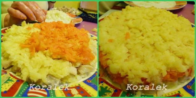 Потом идёт слой морковки и на неё снова картошка. Обяъсняю, почему я так делаю. Дальше идёт слой свёклы..., между морковью и свёклой специально прокладываю картошку, чтобы цвет не перемешивался, иначе морковь становится красной. Потом идёт слой морковки и на неё снова картошка. Обяъсняю, почему я так делаю. Дальше идёт слой свёклы..., между морковью и свёклой специально прокладываю картошку, чтобы цвет не перемешивался, иначе морковь становится красной.