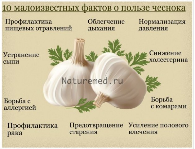 Полезные таблицы. Овощи и зелень.