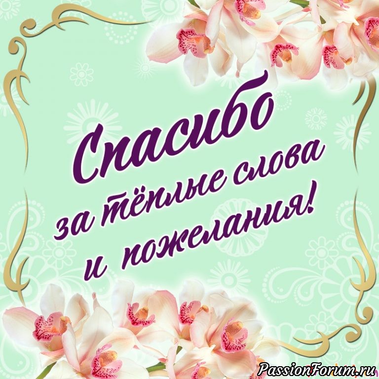 Спасибо всем!!!