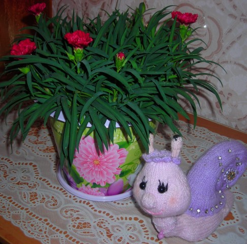 гвоздика, 10 лет уже у меня, но постоянно обновляю гвоздика, 10 лет уже у меня, но постоянно обновляю