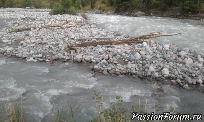 потоками воды частенько приносит огромные бревна. потоками воды частенько приносит огромные бревна.