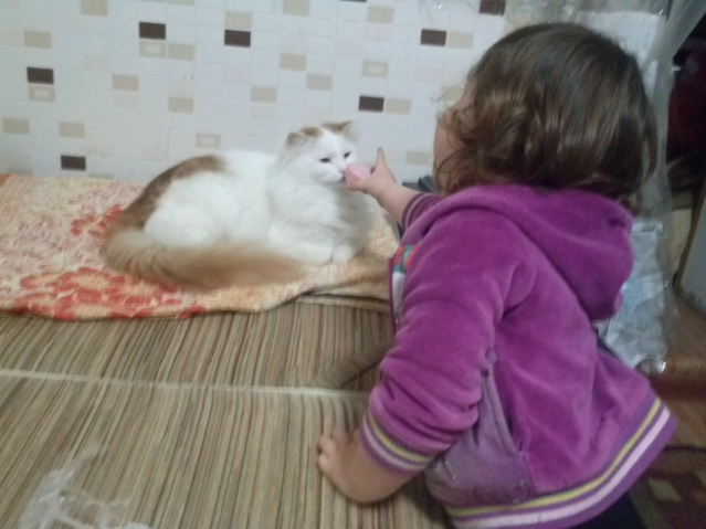 и дает понюхать его Тайсону)))).Тайсон был очень возмущен))) и дает понюхать его Тайсону)))).Тайсон был очень возмущен)))