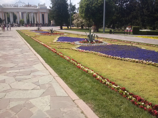 Пирог,ягодки, немного природы и прогулки по паркам!