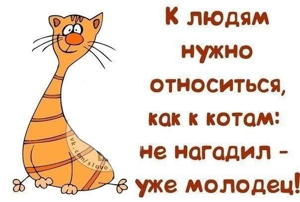 Идеи для творчества!часть 5.(из интернета)