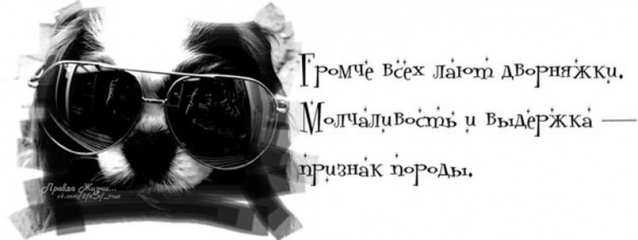 П Я Т Н И Ц А