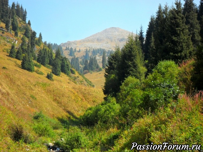 Заилийский Алатау.Осенние зарисовки. Сентябрь.