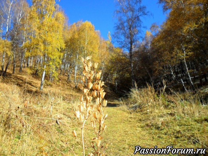 Заилийский Алатау.Осенние зарисовки. Октябрь.