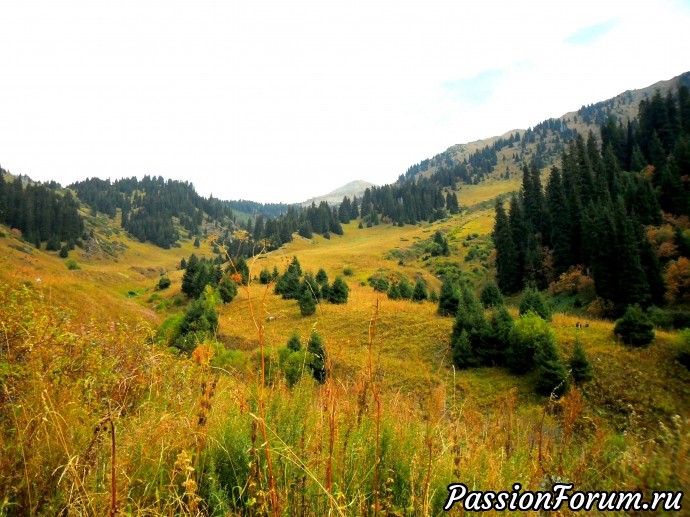 Заилийский Алатау.Осенние зарисовки. Сентябрь.