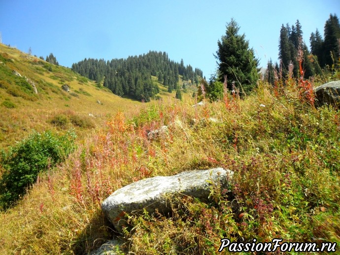 Заилийский Алатау.Осенние зарисовки. Сентябрь.