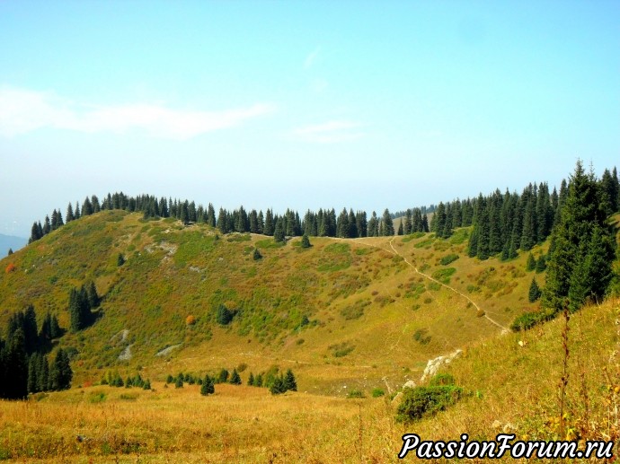 Заилийский Алатау.Осенние зарисовки. Сентябрь.