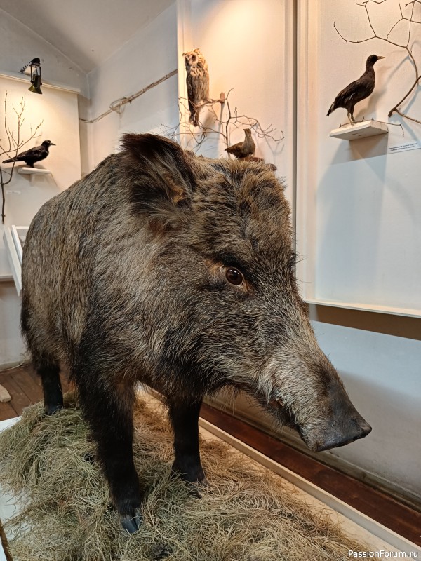 Г. Рыбинск, Ярославская область