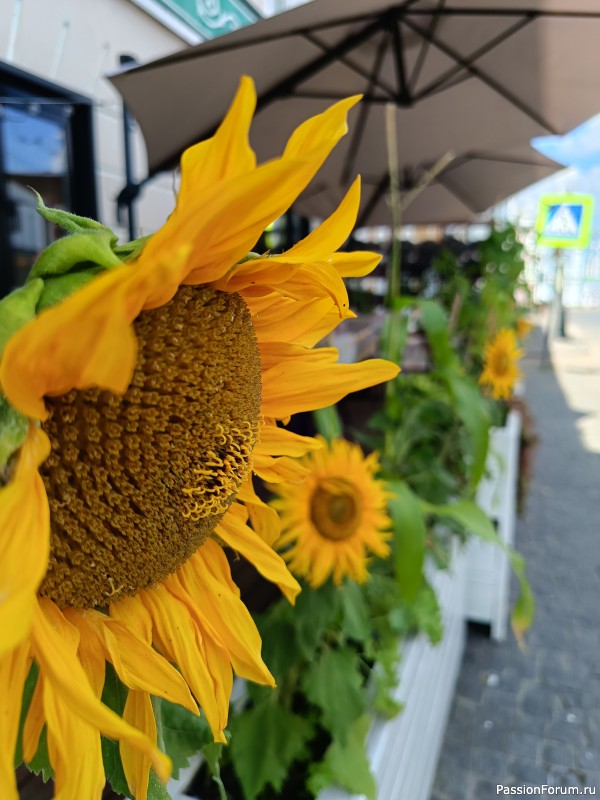 Г. Рыбинск, Ярославская область