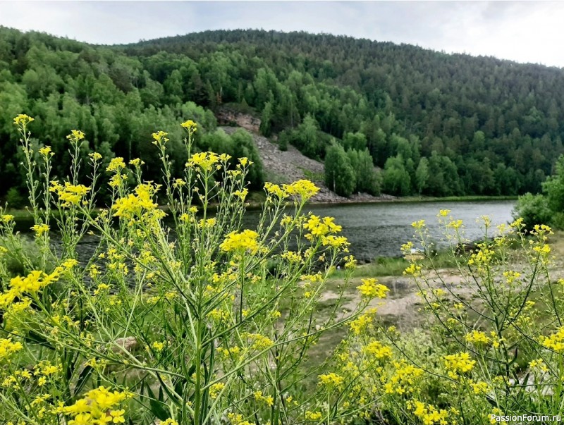 Зюраткуль, национальный парк