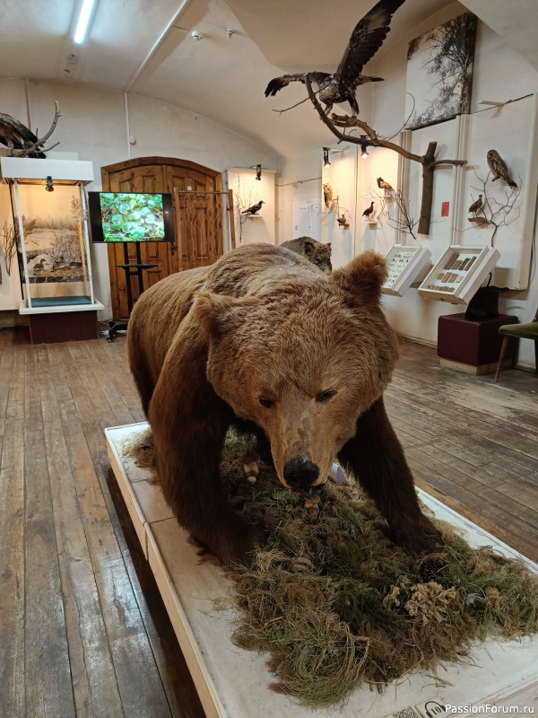 Г. Рыбинск, Ярославская область