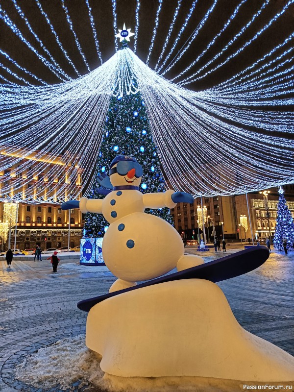 ***Новогоднее путешествие в Москве***