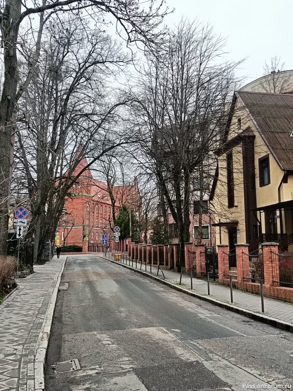 Новогоднее путешествие в Калининграде