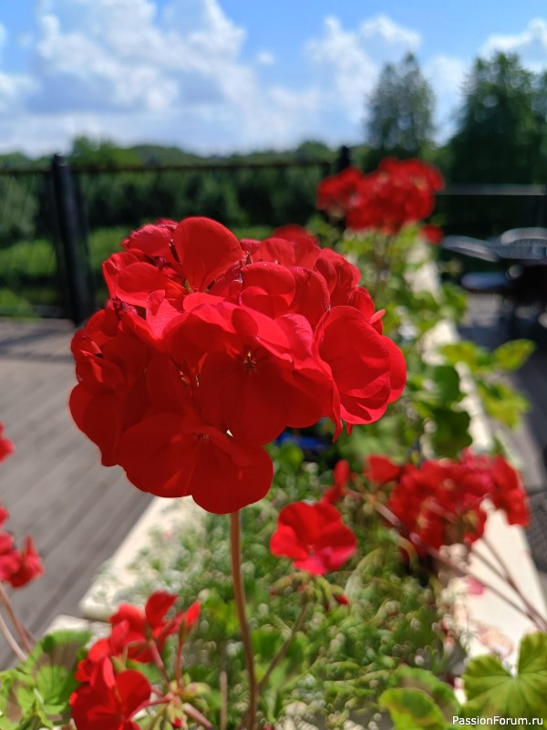 Г. Рыбинск, Ярославская область