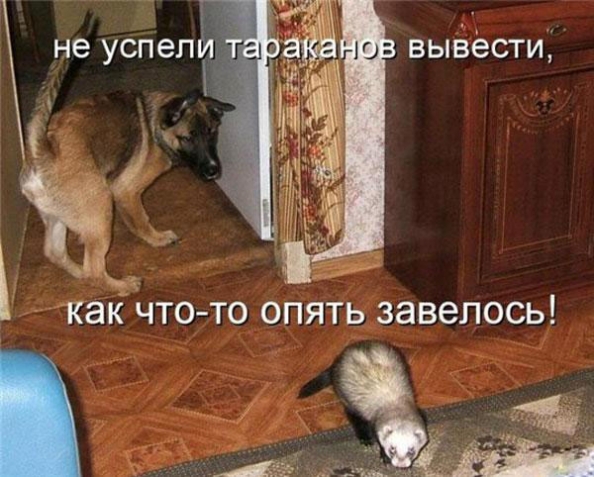 Улыбнитесь-ведь улыбка-это лучик счастья