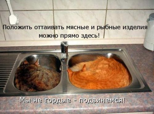 Улыбнитесь-ведь улыбка-это лучик счастья