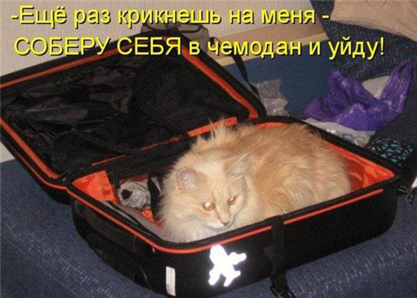 Улыбнитесь-ведь улыбка-это лучик счастья