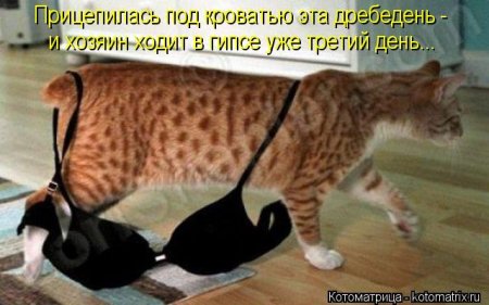 Улыбнитесь-ведь улыбка-это лучик счастья