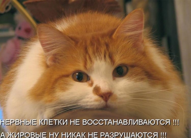 Улыбнитесь-ведь улыбка-это лучик счастья