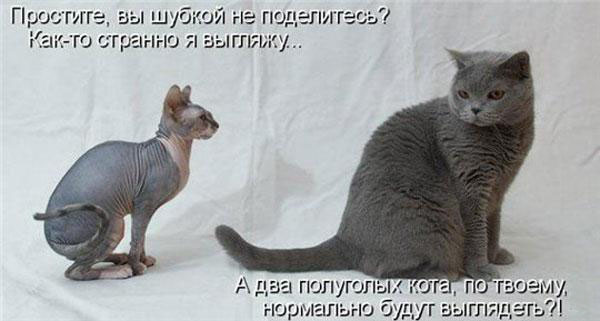 Улыбнитесь-ведь улыбка-это лучик счастья
