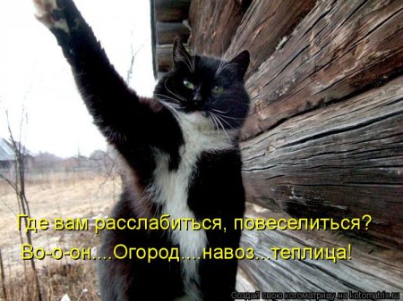 Улыбнитесь-ведь улыбка-это лучик счастья