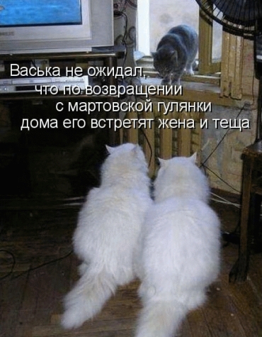 Улыбнитесь-ведь улыбка-это лучик счастья