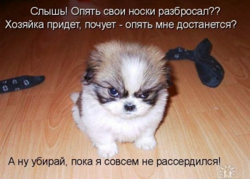 Улыбнитесь-ведь улыбка-это лучик счастья
