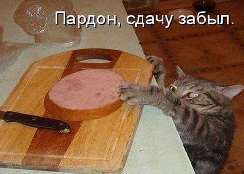 Улыбнитесь, ведь улыбка-это лучик счастья(часть 2)