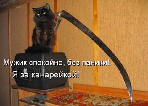 Улыбнитесь, ведь улыбка-это лучик счастья(часть 2)