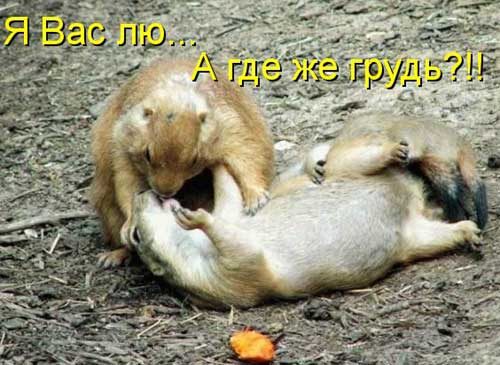 Улыбнитесь, ведь улыбка-это лучик счастья(часть 2)