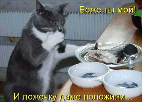 Улыбнитесь, ведь улыбка-это лучик счастья(часть 2)