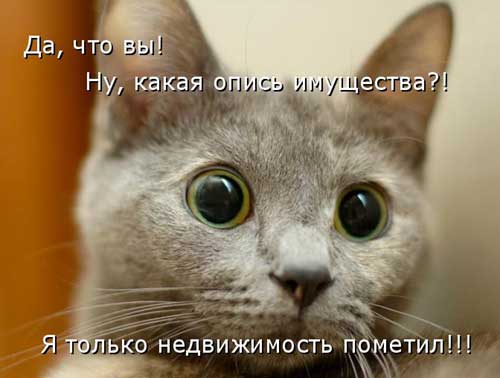 Улыбнитесь, ведь улыбка-это лучик счастья(часть 2)