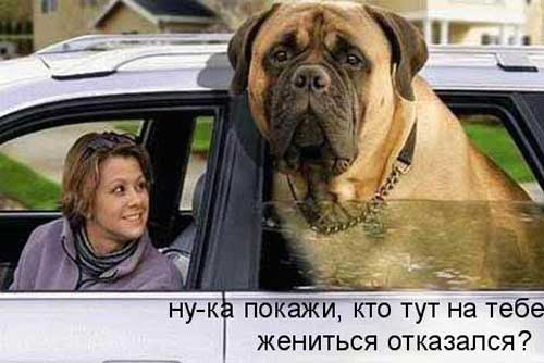 Улыбнитесь, ведь улыбка-это лучик счастья(часть 2)