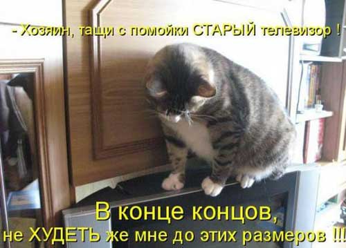 Улыбнитесь, ведь улыбка-это лучик счастья(часть 2)