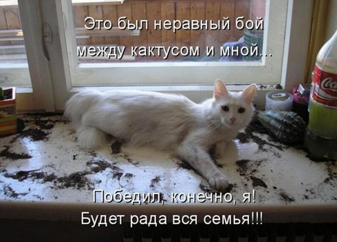 Улыбнитесь, ведь улыбка-это лучик счастья(часть 2)
