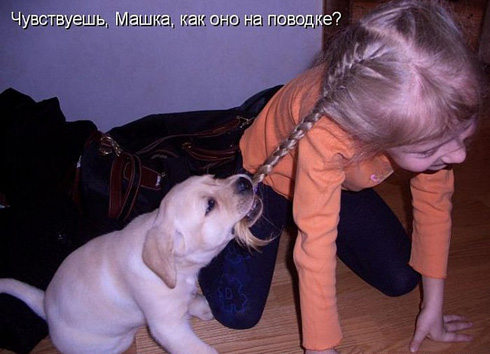 Улыбнитесь, ведь улыбка-это лучик счастья(часть 2)