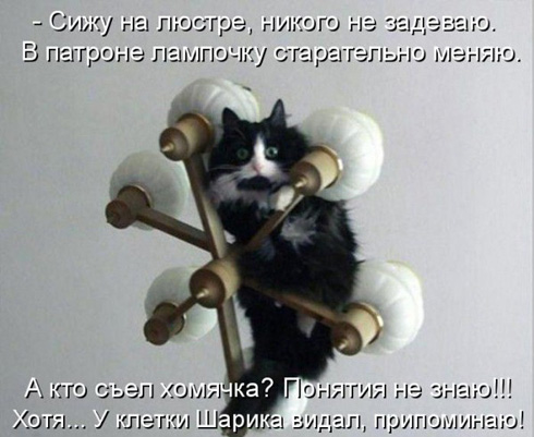 Улыбнитесь, ведь улыбка-это лучик счастья(часть 2)