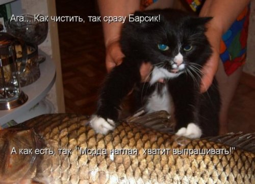 Улыбнитесь, ведь улыбка-это лучик счастья(часть 2)