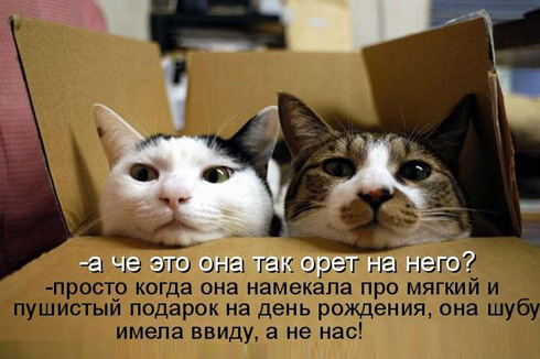 Улыбнитесь, ведь улыбка-это лучик счастья(часть 2)