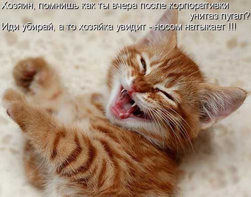 Улыбнитесь, ведь улыбка-это лучик счастья(часть 2)