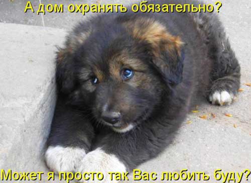 Улыбнитесь, ведь улыбка-это лучик счастья(часть 2)