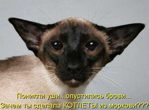 Улыбнитесь, ведь улыбка-это лучик счастья(часть 2)