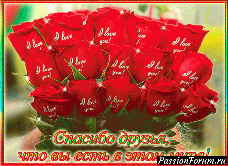 Моя благодарность не знает границ
