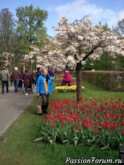 Парк цветов keukenhof это не только тюльпаны. Продолжение. Ландшафтные уголки и другие цветы